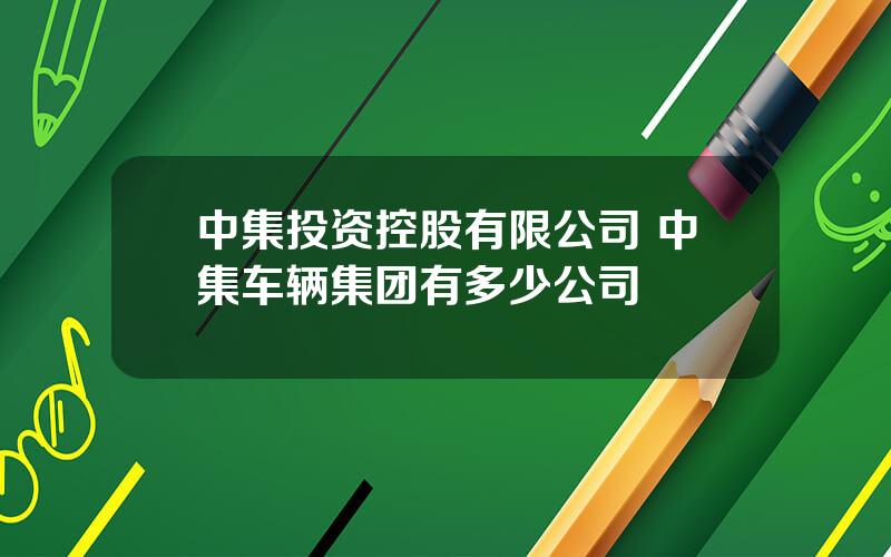 中集投资控股有限公司 中集车辆集团有多少公司